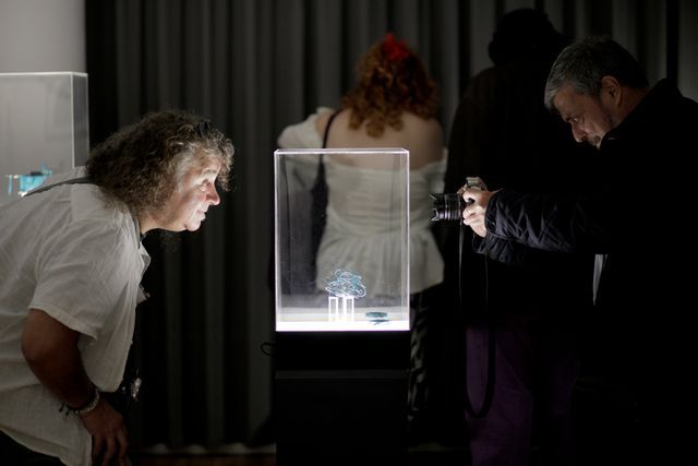 Public interaction during the opening of the exhibition at Goethe-Institut in Bucharest, November 2024. Photo Andreea Săsăran