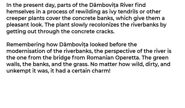 Excerpt from Irina Bobei interview with Mihaela and Lucian Tudose