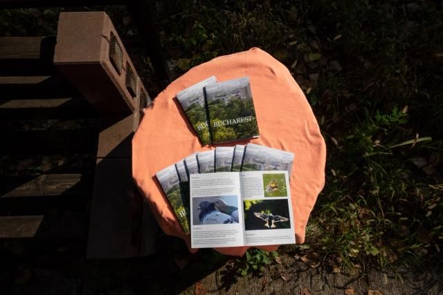 View of Westley Hennigh-Palermo's zine. Photo credit: Alexandra Costea