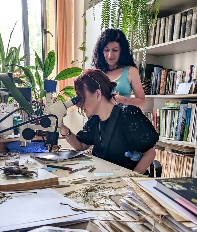 Kasia Molga observing plant specimens under a laboratory microscope alongside researcher Roxana Nicoară at the BUCA Herbarium. Photo Marginal