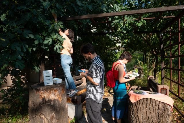 Visitors interacting with Sabina Suru's Concrete & Canopy, Westley Hennigh-Palermo's zine Urban Animal Intervention, and the resident fig tree, in IBIOL's garden. Photo credit: Alexanndra Costea