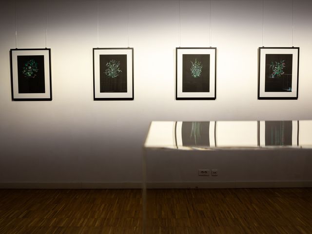Exhibition view, Ghoethe-institut Bucharest, November 2024. Photo Marginal