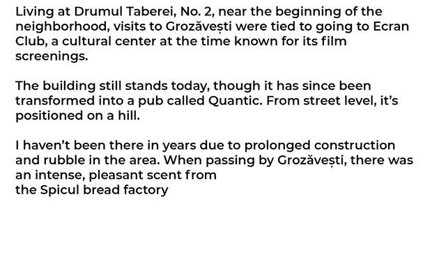 Excerpt from Irina Bobei interview with Mariana Geatara