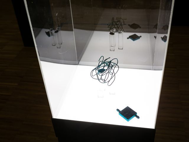 Exhibition detail, Ghoethe-institut Bucharest, November 2024. Photo Marginal
