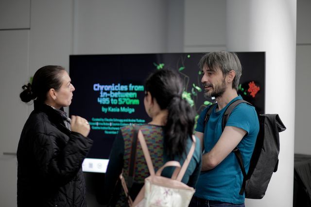 Public interaction during the opening of the exhibition at Goethe-Institut in Bucharest, November 2024. Photo Andreea Săsăran