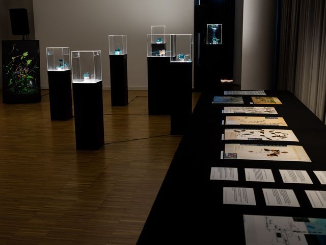 Exhibition view, Ghoethe-institut Bucharest, November 2024. Photo Marginal
