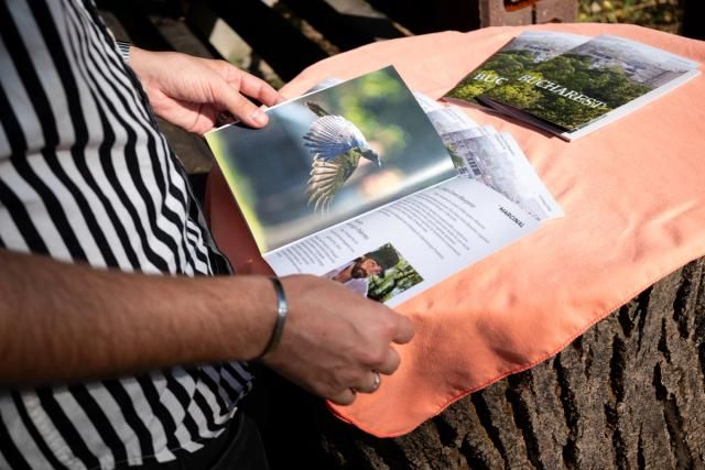 Visitor browsing through Westley Hennigh-Palermo's zine Urban Animal Intervention. Photo credit: Alexandra Costea